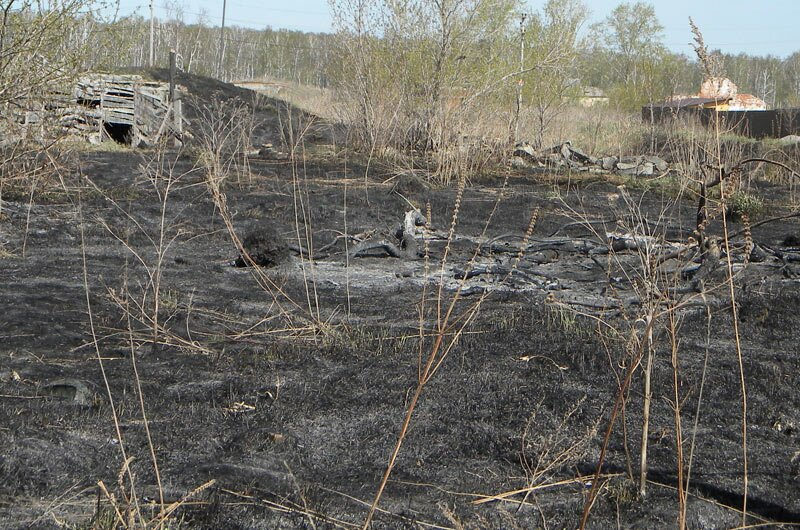 В страшном пожаре погибла женщина, семья с малышом осталась без жилья 