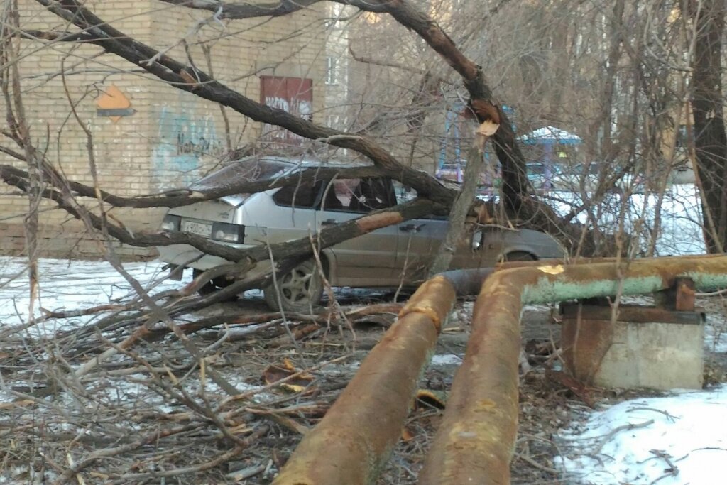 Штормовой ветер повалил дерево на легковой автомобиль. ФОТО