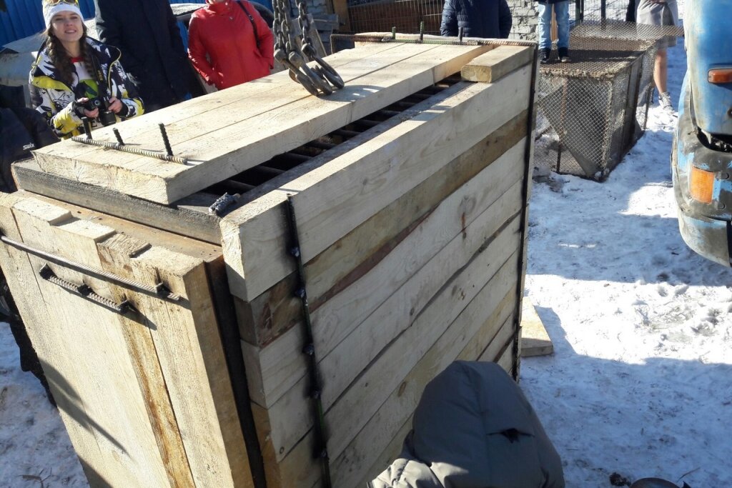 Источник фото: vk.com/club142582021