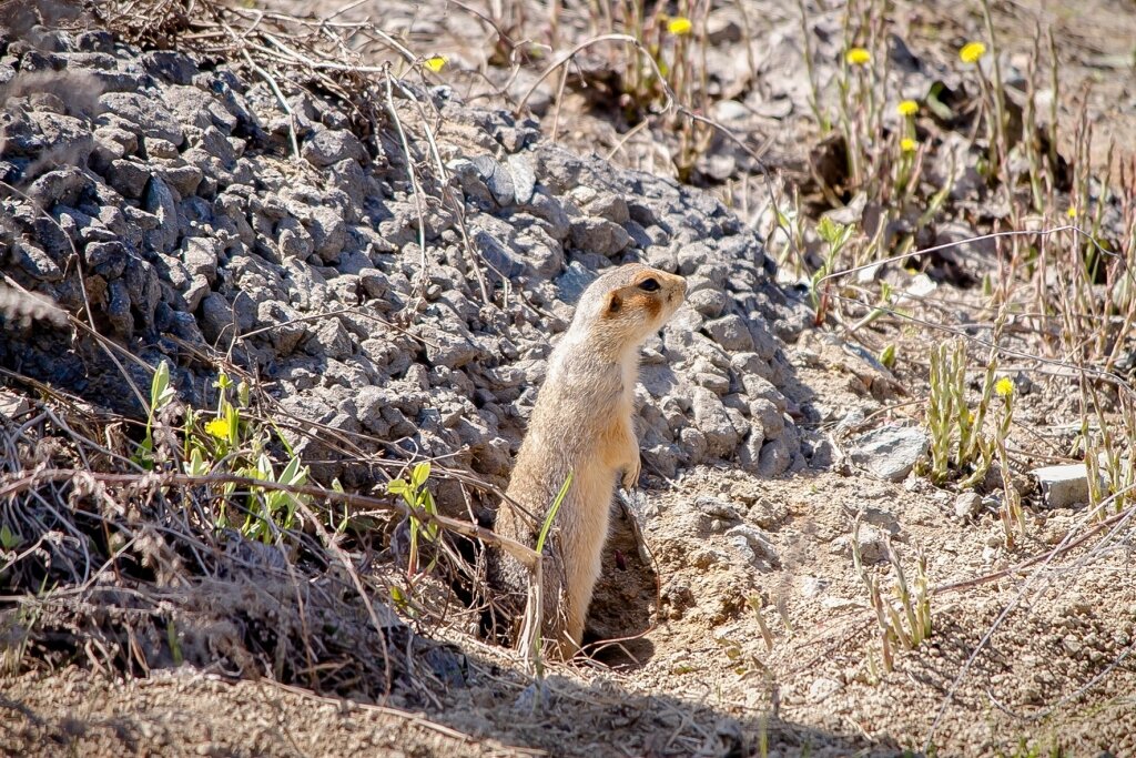 Автор фото Ринат Хайрятдинов